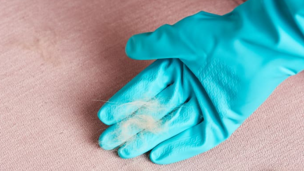 pet fur with rubber gloves