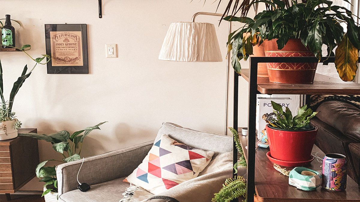 Decorate Your Home with Indoor Plants